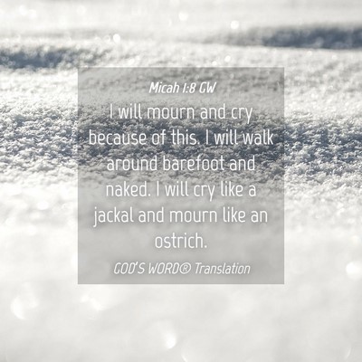Picture 04 - Micah 1:8 GW - I will mourn and cry because of this. I will walk - Bible Verse Picture