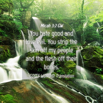Picture 04 - Micah 3:2 GW - You hate good and love evil. You strip the skin - Bible Verse Picture