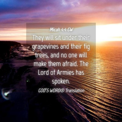 Picture 04 - Micah 4:4 GW - They will sit under their grapevines and their - Bible Verse Picture