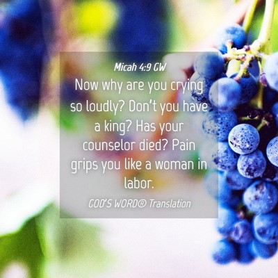 Picture 04 - Micah 4:9 GW - Now why are you crying so loudly? Don’t you - Bible Verse Picture