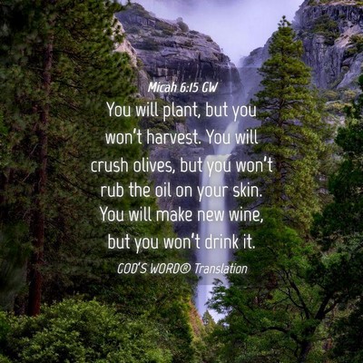 Picture 04 - Micah 6:15 GW - You will plant, but you won’t harvest. You will - Bible Verse Picture