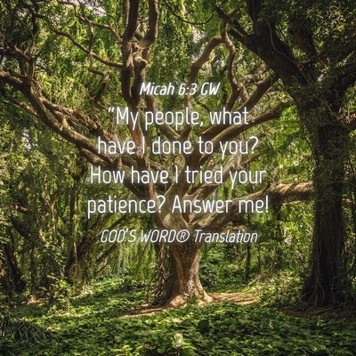 Picture 04 - Micah 6:3 GW - “My people, what have I done to you? How have I - Bible Verse Picture