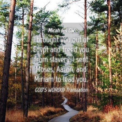 Picture 04 - Micah 6:4 GW - I brought you out of Egypt and freed you from - Bible Verse Picture
