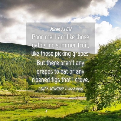 Picture 04 - Micah 7:1 GW - Poor me! I am like those gathering summer fruit, - Bible Verse Picture