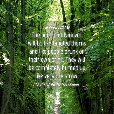 Picture 04 - Nahum 1:10 GW - The people of Nineveh will be like tangled thorns - Bible Verse Picture