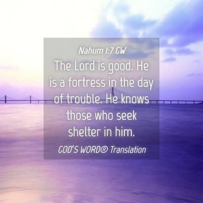 Picture 04 - Nahum 1:7 GW - The Lord is good. He is a fortress in the day of - Bible Verse Picture