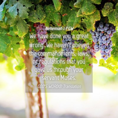 Picture 04 - Nehemiah 1:7 GW - We have done you a great wrong. We haven’t - Bible Verse Picture