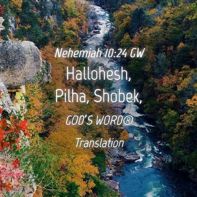 Picture 04 - Nehemiah 10:24 GW - Hallohesh, Pilha, - Bible Verse Picture