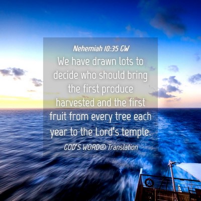 Picture 04 - Nehemiah 10:35 GW - We have drawn lots to decide who should bring the - Bible Verse Picture