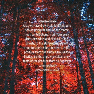Picture 04 - Nehemiah 10:37 GW - Also, we have drawn lots to decide who should - Bible Verse Picture