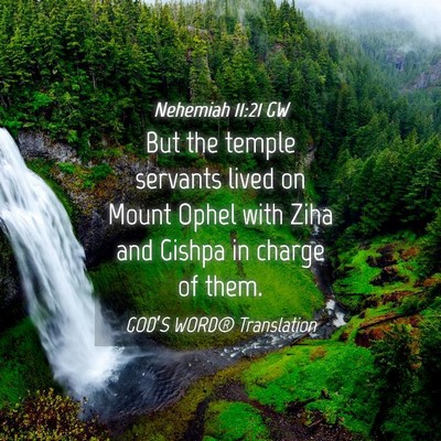 Picture 04 - Nehemiah 11:21 GW - But the temple servants lived on Mount Ophel with - Bible Verse Picture