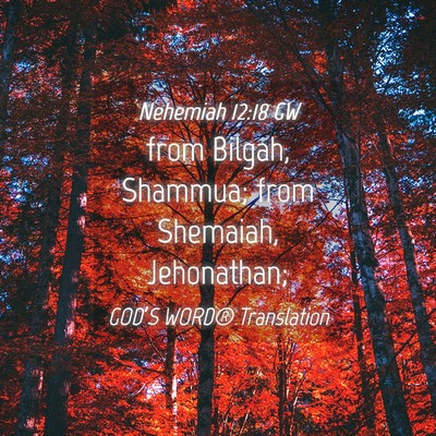 Picture 04 - Nehemiah 12:18 GW - from Bilgah, Shammua; from Shemaiah, - Bible Verse Picture
