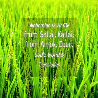 Picture 04 - Nehemiah 12:20 GW - from Sallai, Kallai; from Amok, - Bible Verse Picture