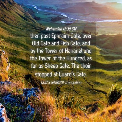 Picture 04 - Nehemiah 12:39 GW - then past Ephraim Gate, over Old Gate and Fish - Bible Verse Picture