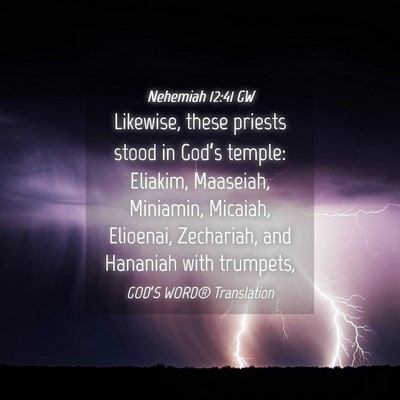 Picture 04 - Nehemiah 12:41 GW - Likewise, these priests stood in God’s temple: - Bible Verse Picture