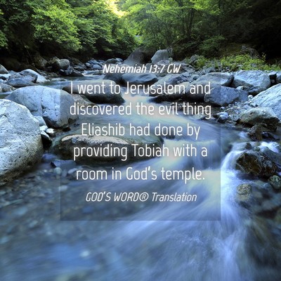 Picture 04 - Nehemiah 13:7 GW - I went to Jerusalem and discovered the evil thing - Bible Verse Picture