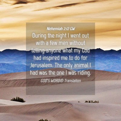 Picture 04 - Nehemiah 2:12 GW - During the night I went out with a few men - Bible Verse Picture