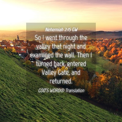 Picture 04 - Nehemiah 2:15 GW - So I went through the valley that night and - Bible Verse Picture