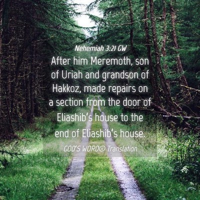 Picture 04 - Nehemiah 3:21 GW - After him Meremoth, son of Uriah and grandson of - Bible Verse Picture
