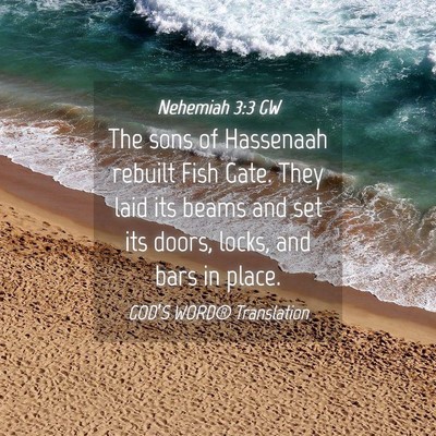 Picture 04 - Nehemiah 3:3 GW - The sons of Hassenaah rebuilt Fish Gate. They - Bible Verse Picture