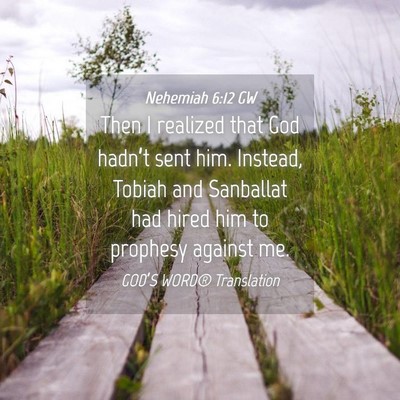 Picture 04 - Nehemiah 6:12 GW - Then I realized that God hadn’t sent him. - Bible Verse Picture