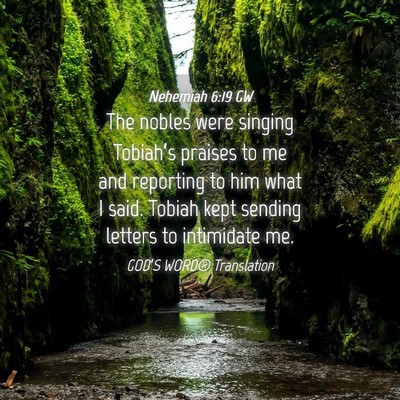 Picture 04 - Nehemiah 6:19 GW - The nobles were singing Tobiah’s praises to me - Bible Verse Picture