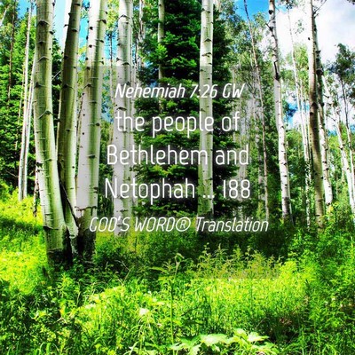 Picture 04 - Nehemiah 7:26 GW - the people of Bethlehem and Netophah … - Bible Verse Picture