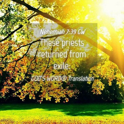 Picture 04 - Nehemiah 7:39 GW - These priests returned from - Bible Verse Picture