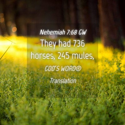 Picture 04 - Nehemiah 7:68 GW - They had 736 horses, 245 - Bible Verse Picture