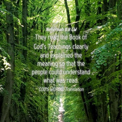 Picture 04 - Nehemiah 8:8 GW - They read the Book of God’s Teachings clearly - Bible Verse Picture