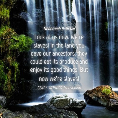 Picture 04 - Nehemiah 9:36 GW - Look at us now. We’re slaves! In the land you - Bible Verse Picture