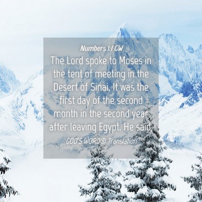 Picture 04 - Numbers 1:1 GW - The Lord spoke to Moses in the tent of meeting in - Bible Verse Picture