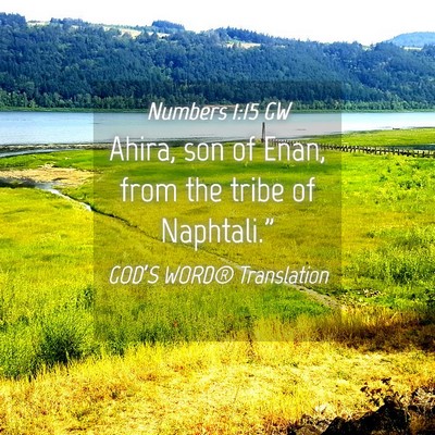Picture 04 - Numbers 1:15 GW - Ahira, son of Enan, from the tribe of - Bible Verse Picture
