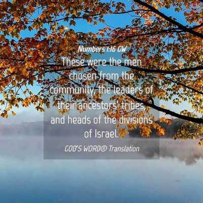 Picture 04 - Numbers 1:16 GW - These were the men chosen from the community, the - Bible Verse Picture