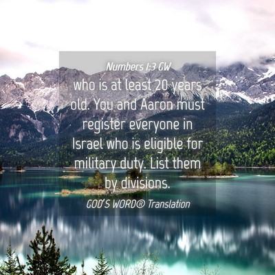 Picture 04 - Numbers 1:3 GW - who is at least 20 years old. You and Aaron must - Bible Verse Picture