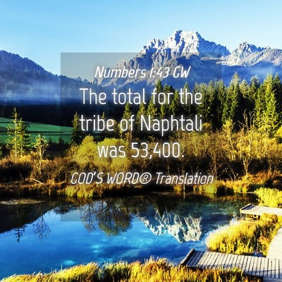 Picture 04 - Numbers 1:43 GW - The total for the tribe of Naphtali was - Bible Verse Picture
