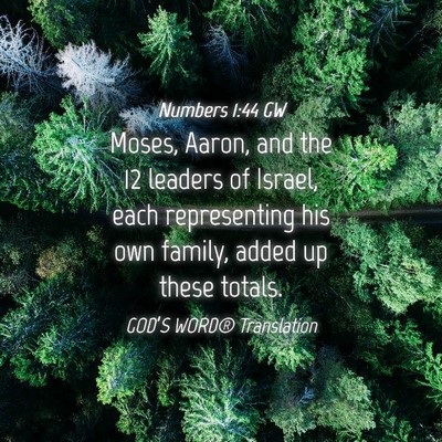 Picture 04 - Numbers 1:44 GW - Moses, Aaron, and the 12 leaders of Israel, each - Bible Verse Picture
