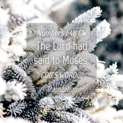 Picture 04 - Numbers 1:48 GW - The Lord had said to - Bible Verse Picture