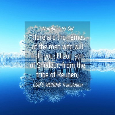 Picture 04 - Numbers 1:5 GW - “Here are the names of the men who will help - Bible Verse Picture