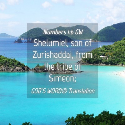 Picture 04 - Numbers 1:6 GW - Shelumiel, son of Zurishaddai, from the tribe of - Bible Verse Picture