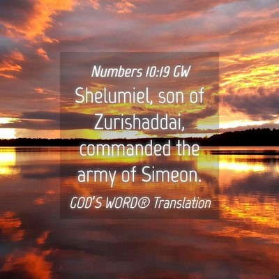 Picture 04 - Numbers 10:19 GW - Shelumiel, son of Zurishaddai, commanded the army - Bible Verse Picture