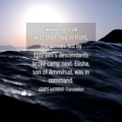 Picture 04 - Numbers 10:22 GW - With their flag in front, the armies led by - Bible Verse Picture