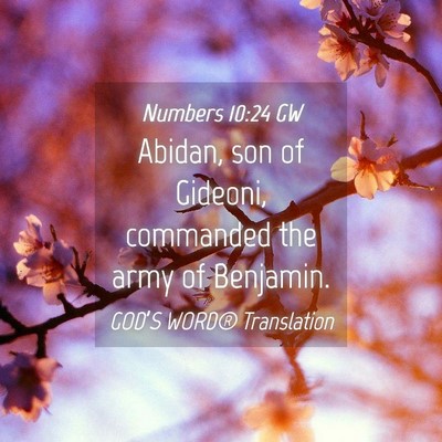 Picture 04 - Numbers 10:24 GW - Abidan, son of Gideoni, commanded the army of - Bible Verse Picture