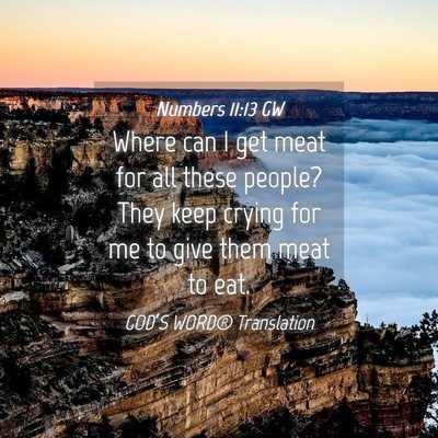 Picture 04 - Numbers 11:13 GW - Where can I get meat for all these people? They - Bible Verse Picture