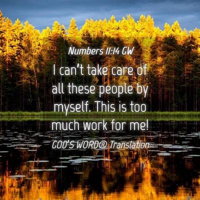 Picture 04 - Numbers 11:14 GW - I can’t take care of all these people by - Bible Verse Picture