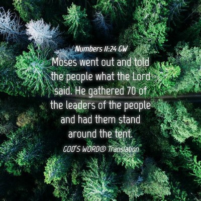 Picture 04 - Numbers 11:24 GW - Moses went out and told the people what the Lord - Bible Verse Picture