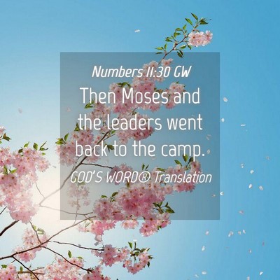 Picture 04 - Numbers 11:30 GW - Then Moses and the leaders went back to the - Bible Verse Picture