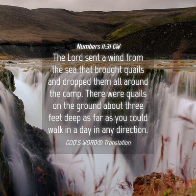 Picture 04 - Numbers 11:31 GW - The Lord sent a wind from the sea that brought - Bible Verse Picture