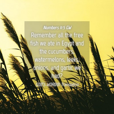 Picture 04 - Numbers 11:5 GW - Remember all the free fish we ate in Egypt and - Bible Verse Picture