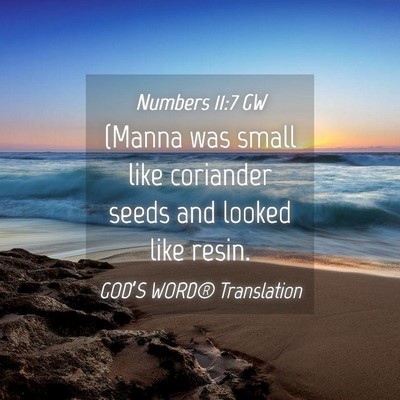 Picture 04 - Numbers 11:7 GW - (Manna was small like coriander seeds and looked - Bible Verse Picture